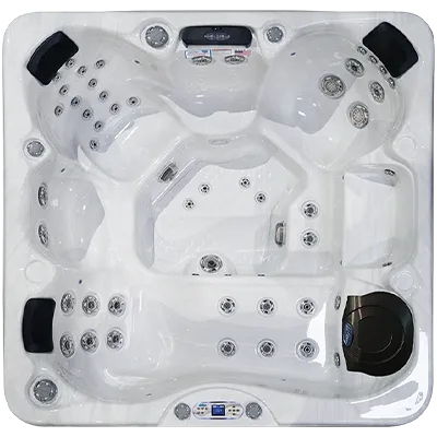 Avalon EC-849L hot tubs for sale in Camarillo